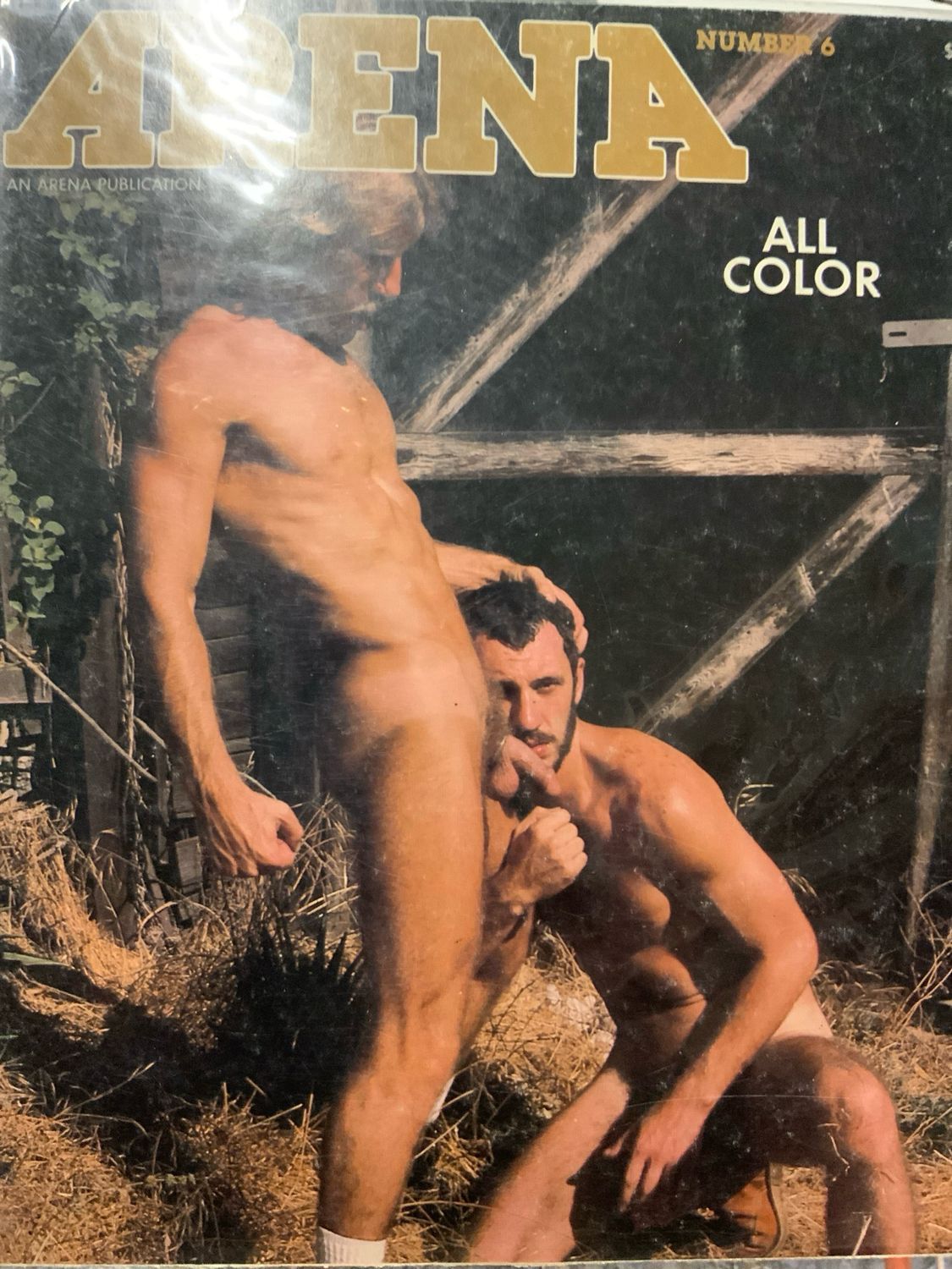 Arena #6 1979