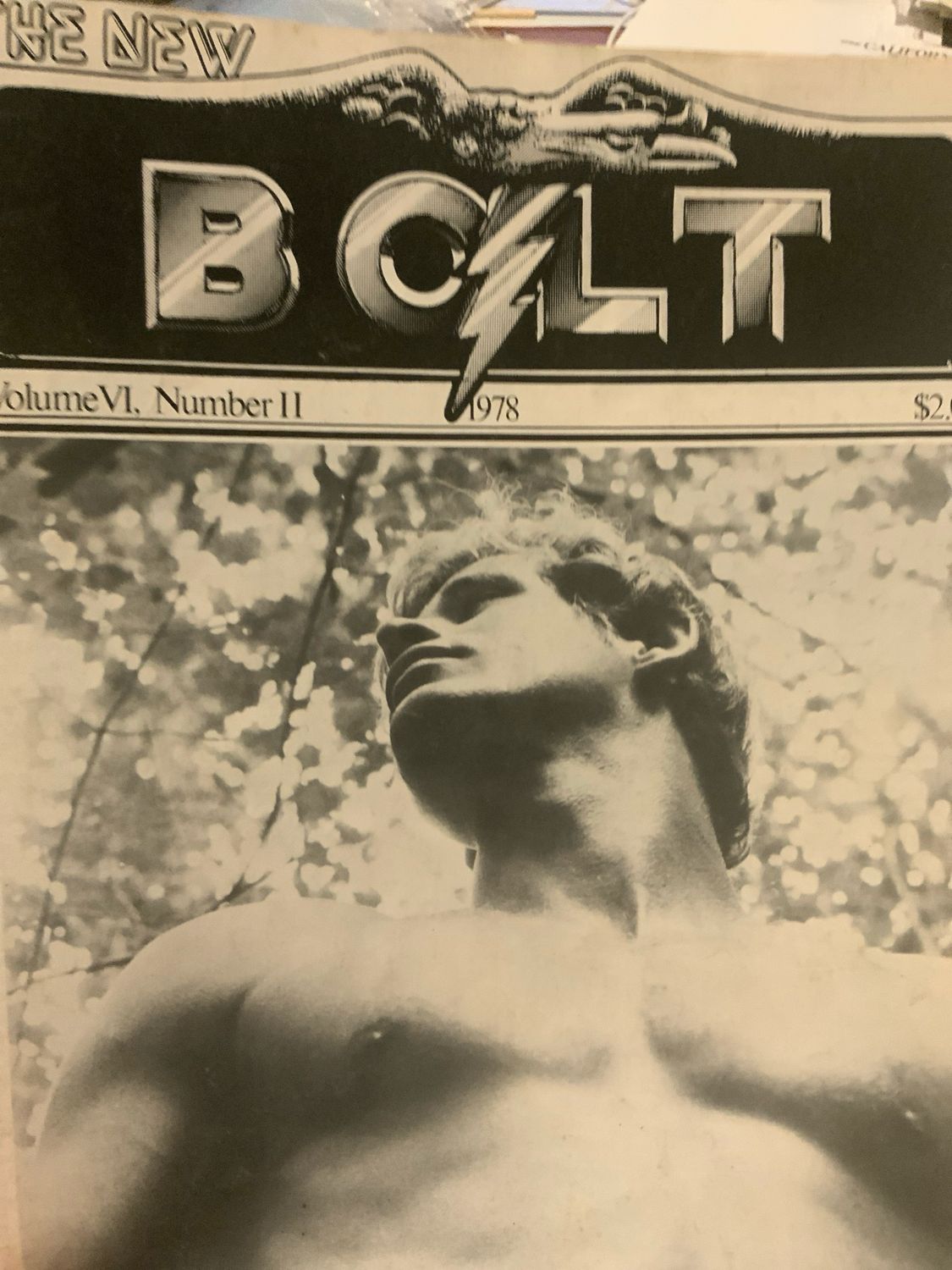 Bolt Vol VI No II 1978
