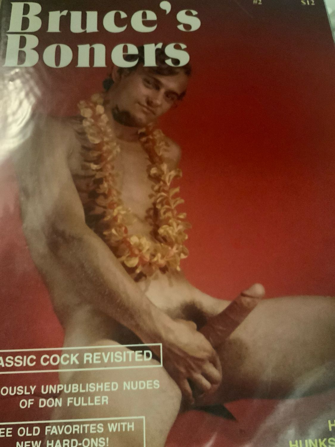 Bruce’s Boners #2