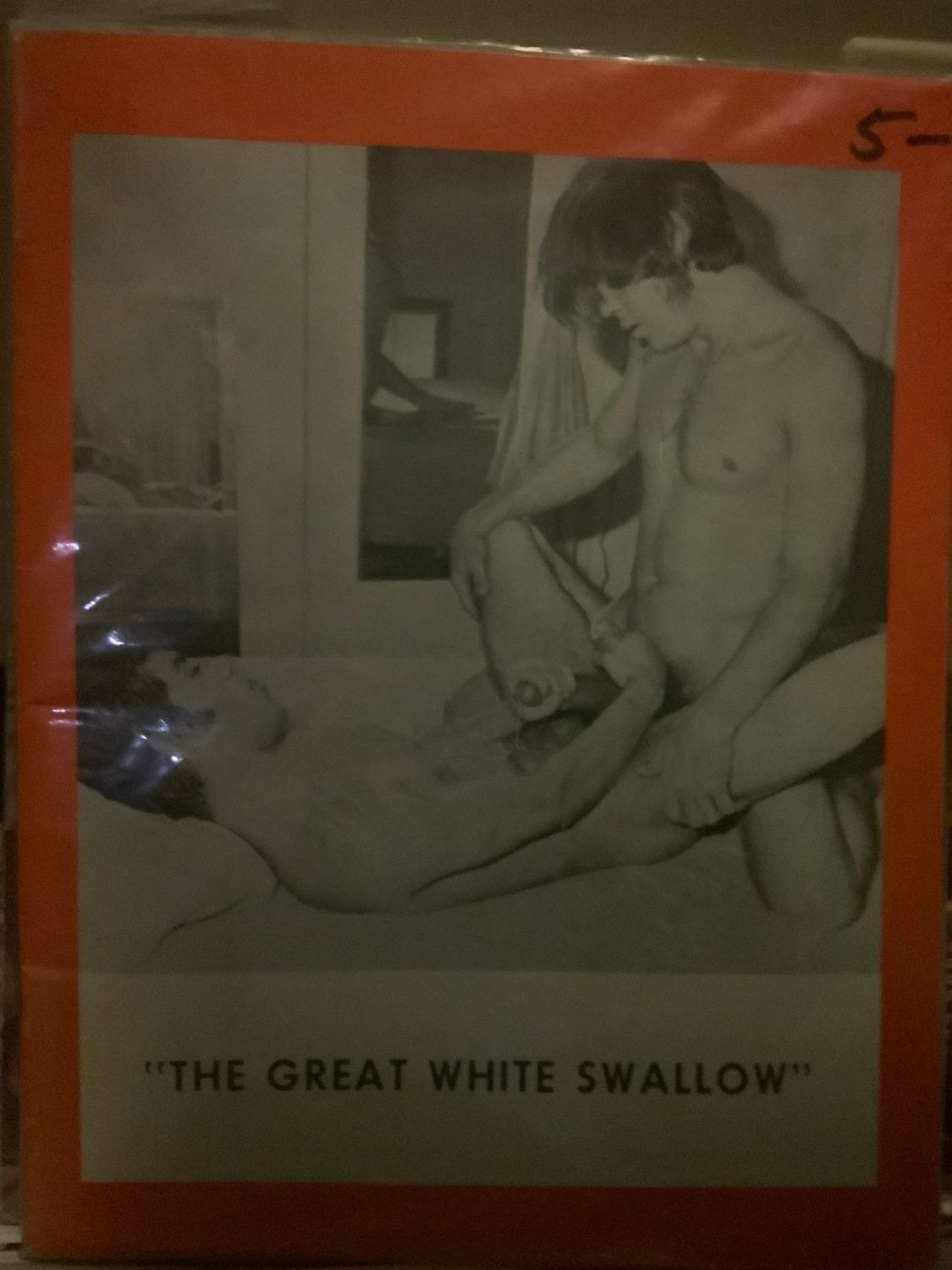 The Great White Swallow 1970 Rare