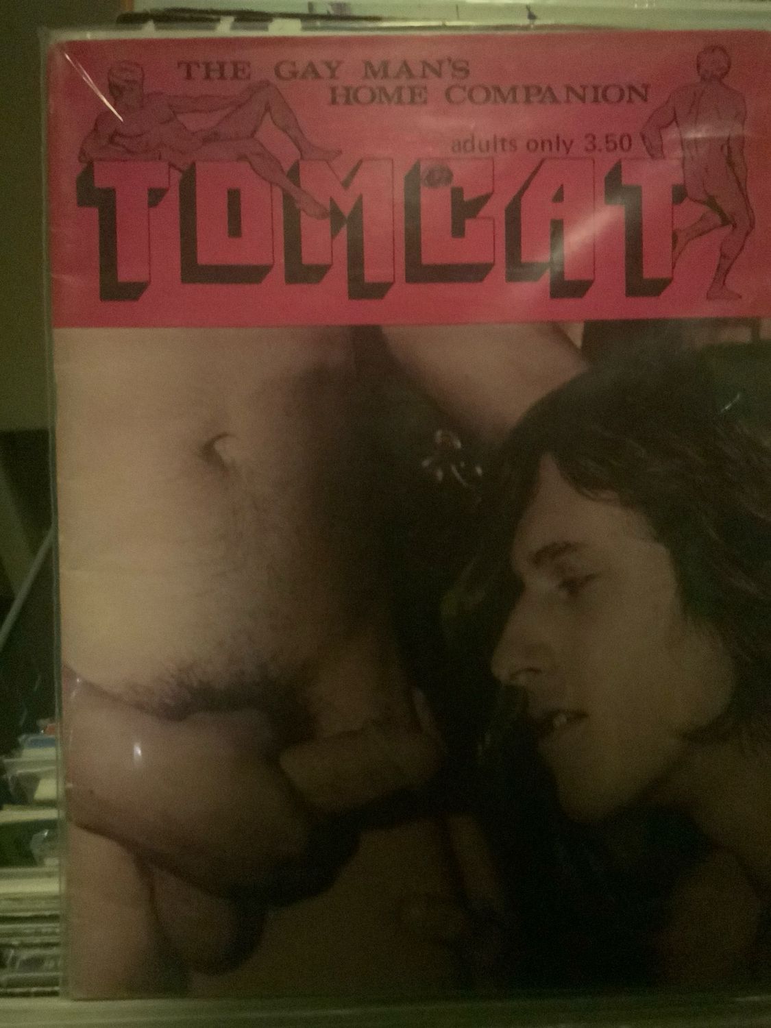Tom Cat Vol 1 Rare