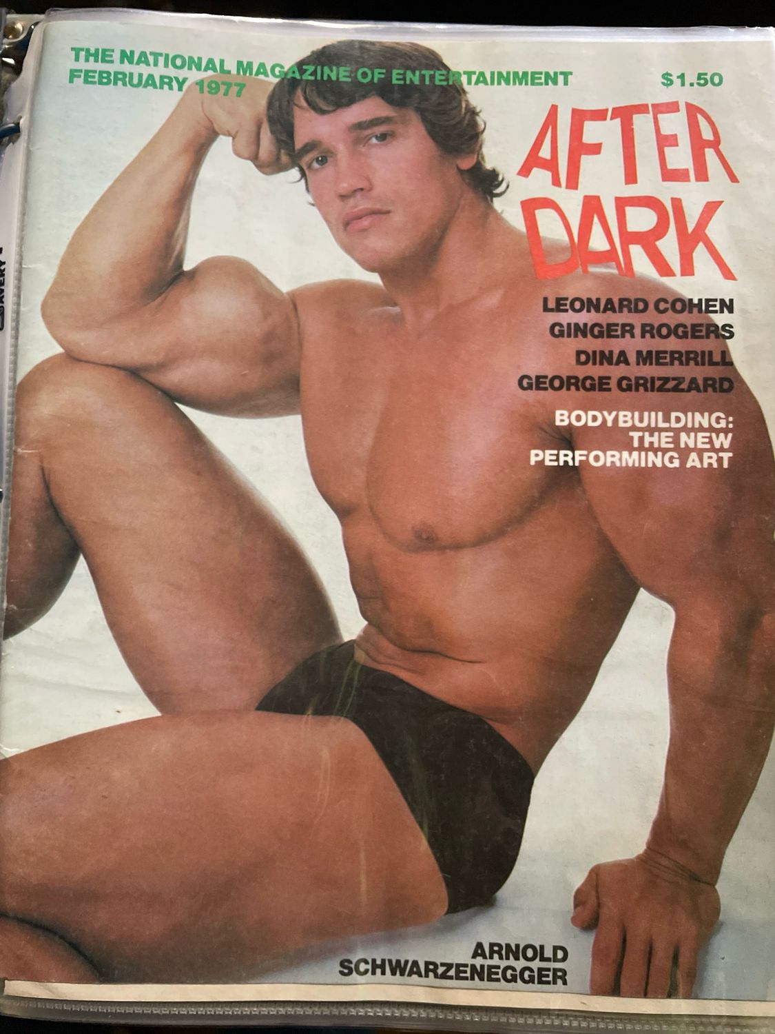 Scrapbook 2 circa 1970s - 80s Gay Collector Ads, Articles And Misc Important Pages 200+ Pages 10lbs