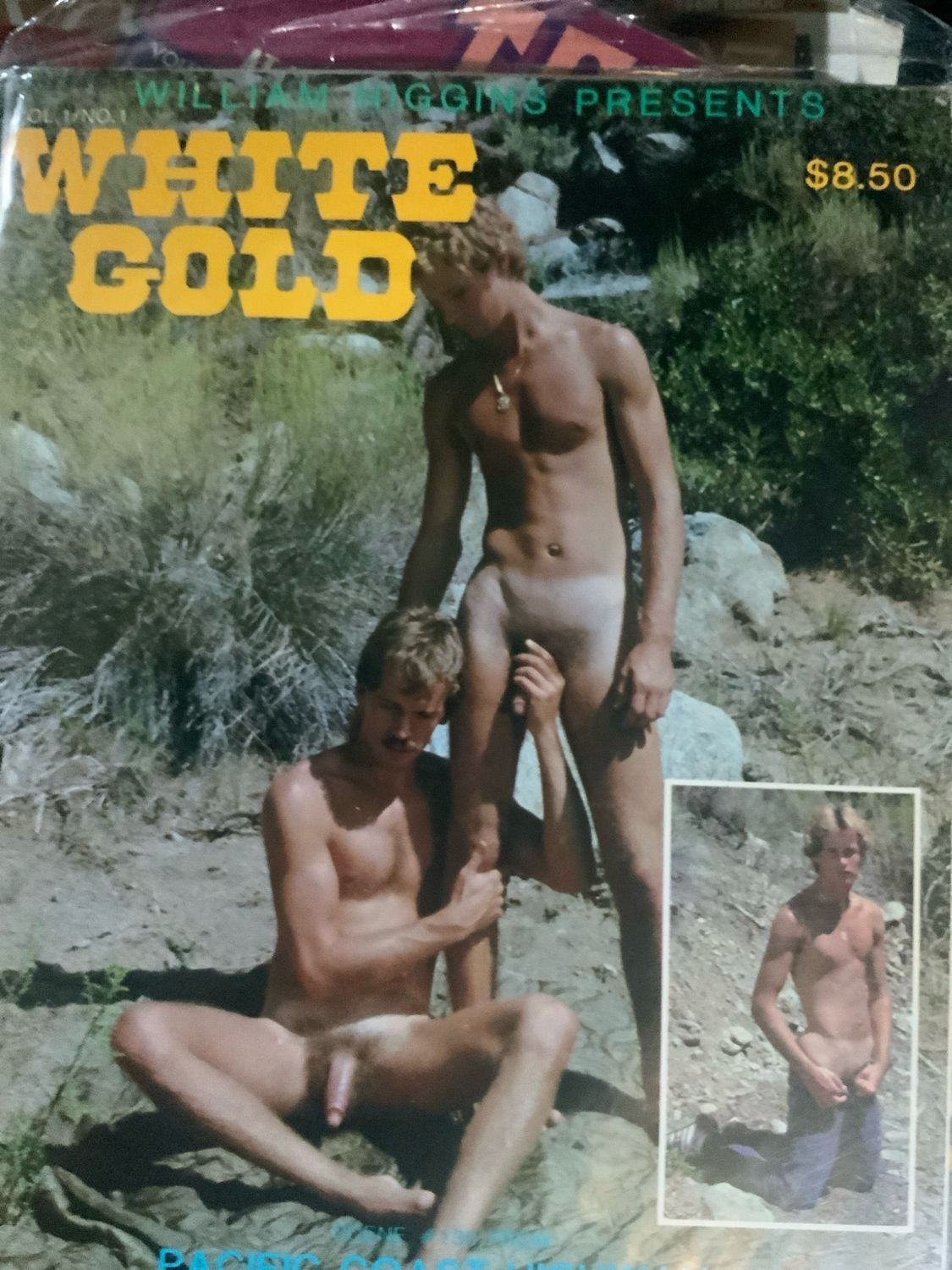 White Gold 1981 william higgins