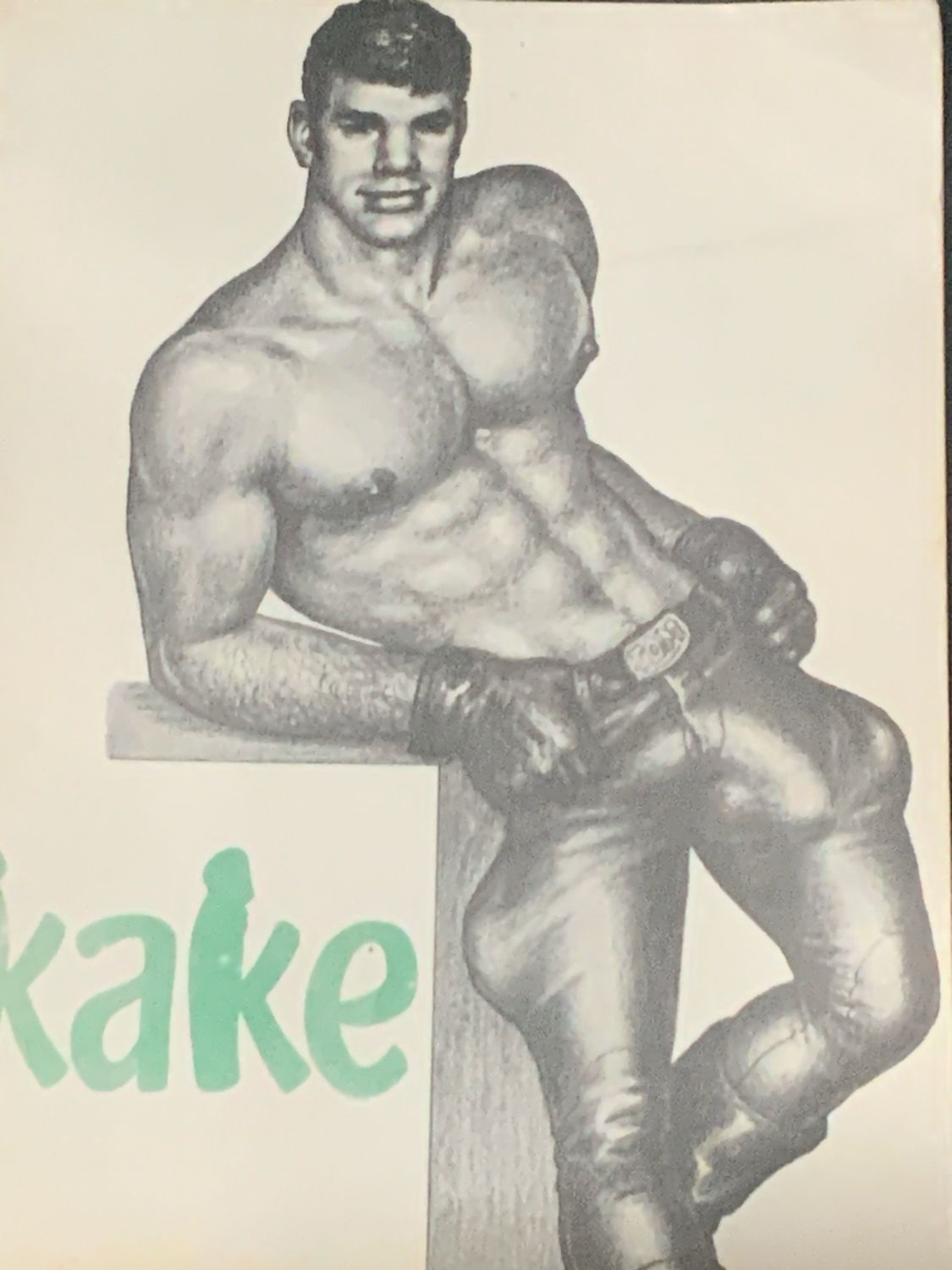 Kake 1 DFT 1st Edition Digest Green Letters Denmark