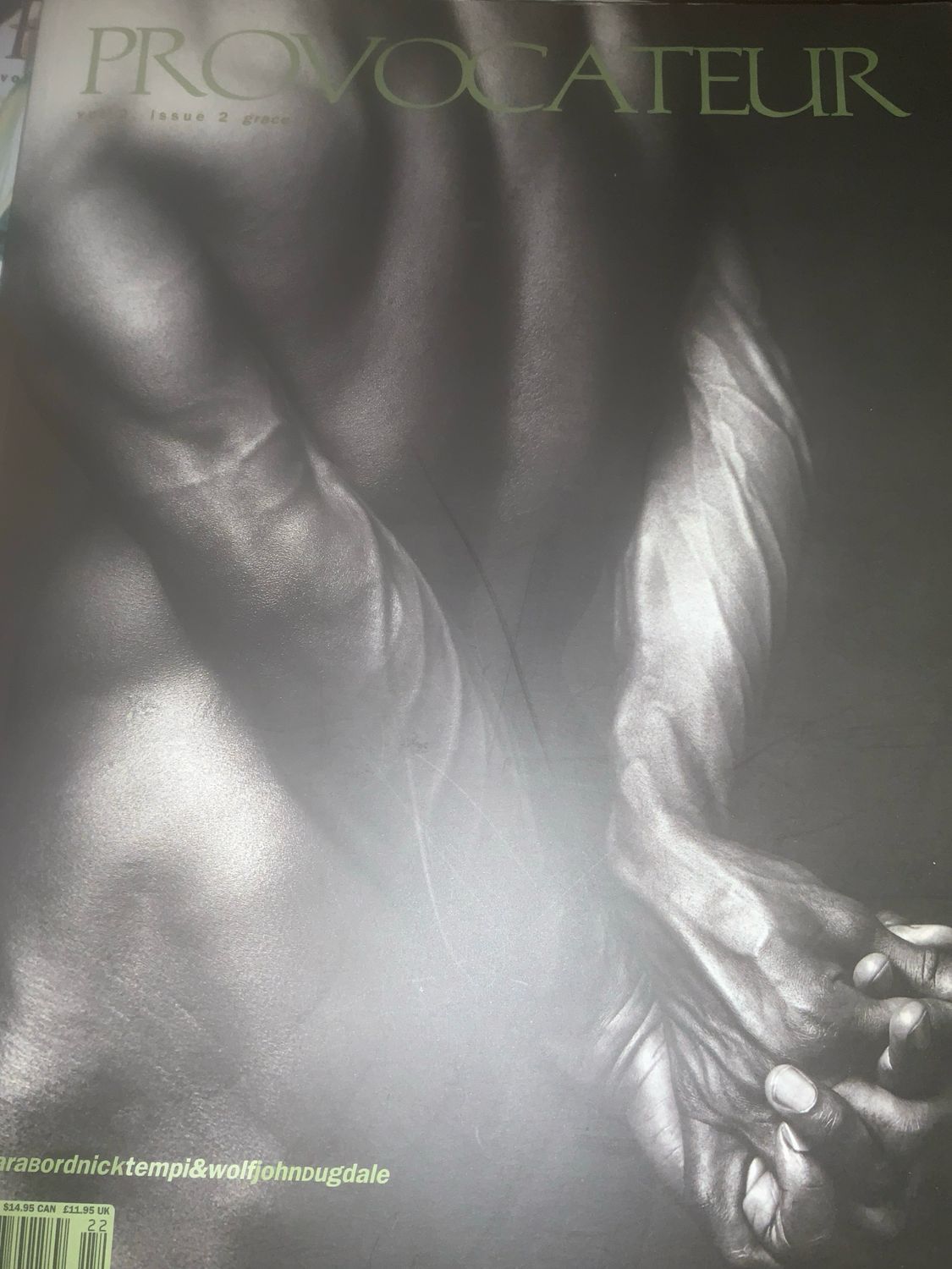 Provocateur Vol 2 Issue 2.