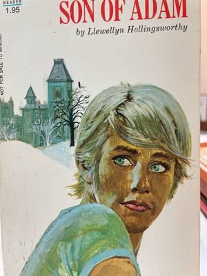 Son Of Adam Near Mint