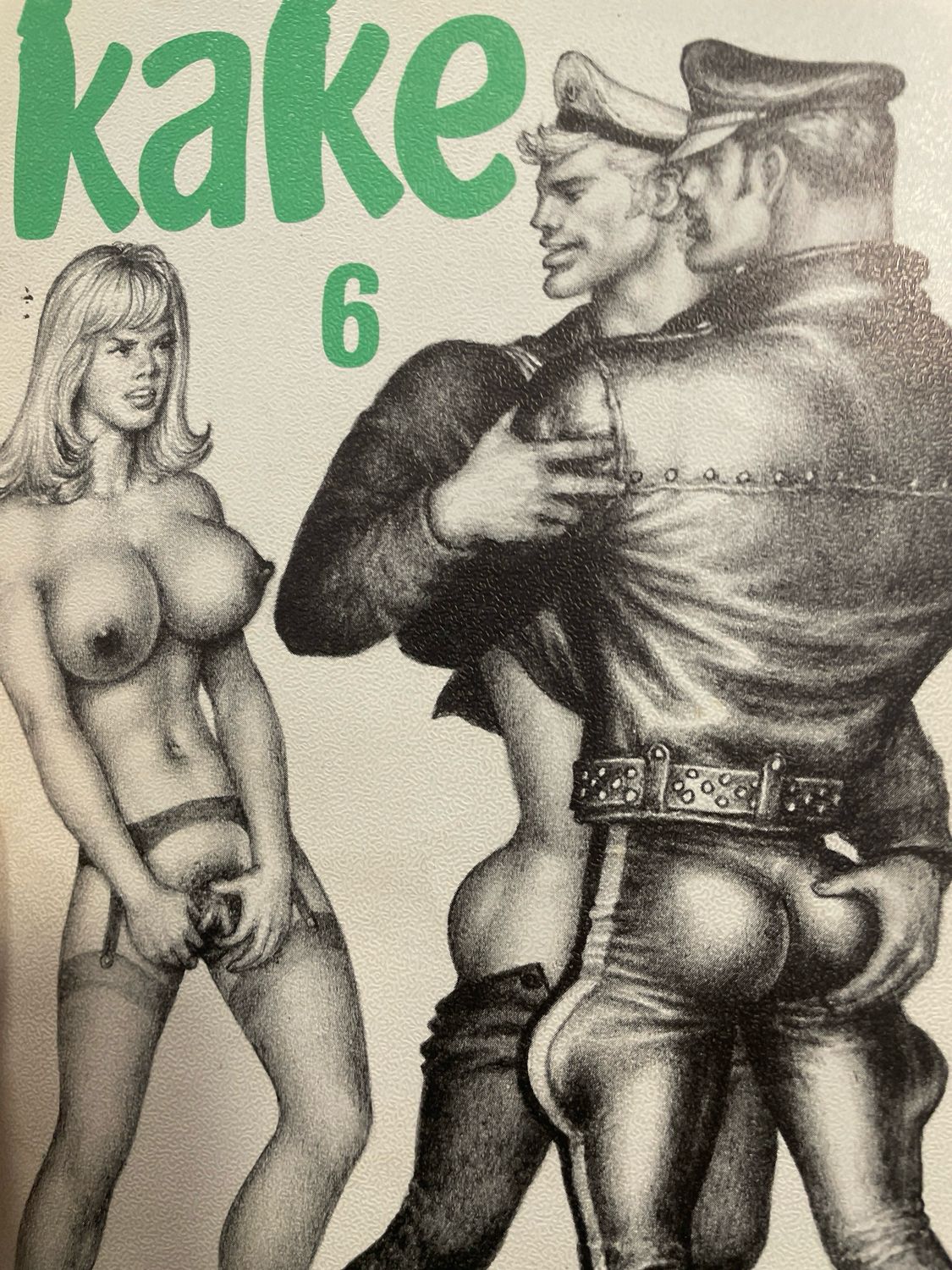 Kake 6 DFT Denmark Digest