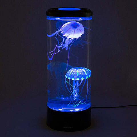 Jellyfish Aquarium