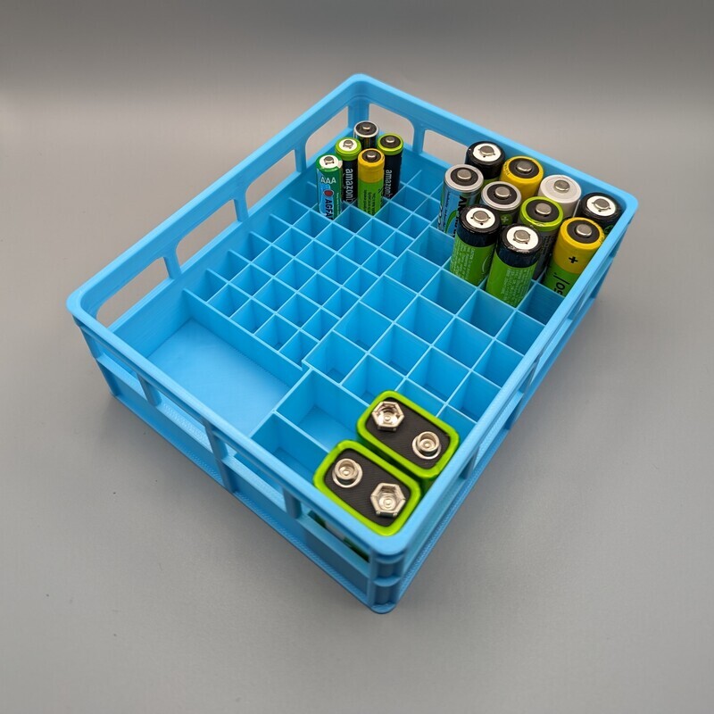 Large Battery Box for AA, AAA, 9V and Button Cells