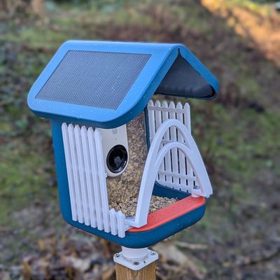 Bird Buddy