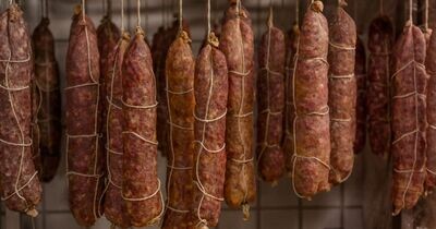Salami
