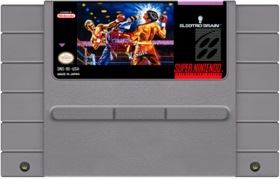 Best of the Best Championship Karate - (SNES)
