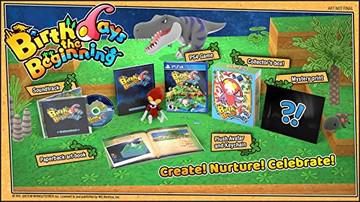 Birthdays the Beginning [Limited Edition] - PS4