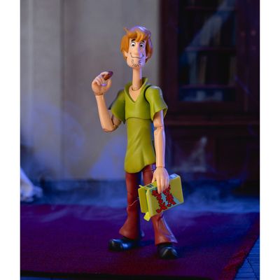 Scooby-Doo! Wave 1 Shaggy 1:12 Scale Action Figure