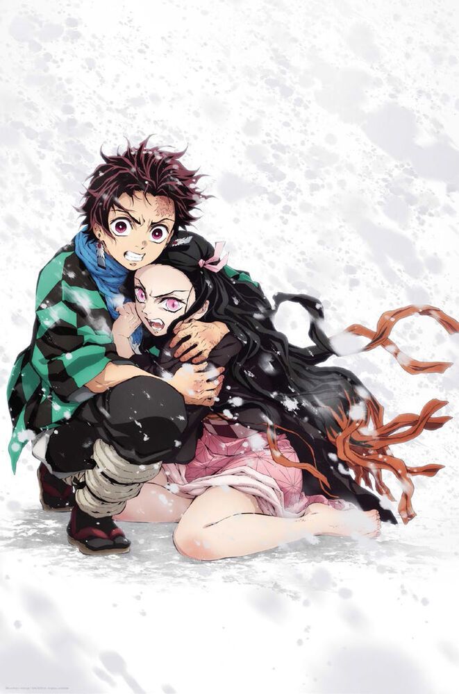 Demon Slayer - Tanjiro &amp; Nekuko Snow - 24" x 36" Poster