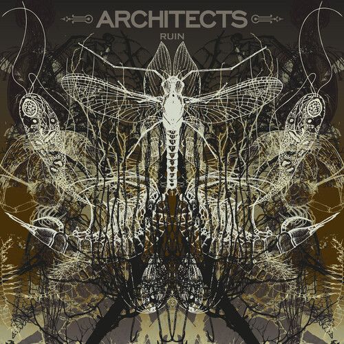 Architects "Ruin" (Ltd. Ed. Picture Disc) - LP