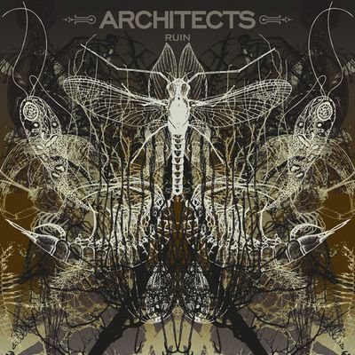 Architects "Ruin" (Ltd. Ed. Picture Disc) - LP
