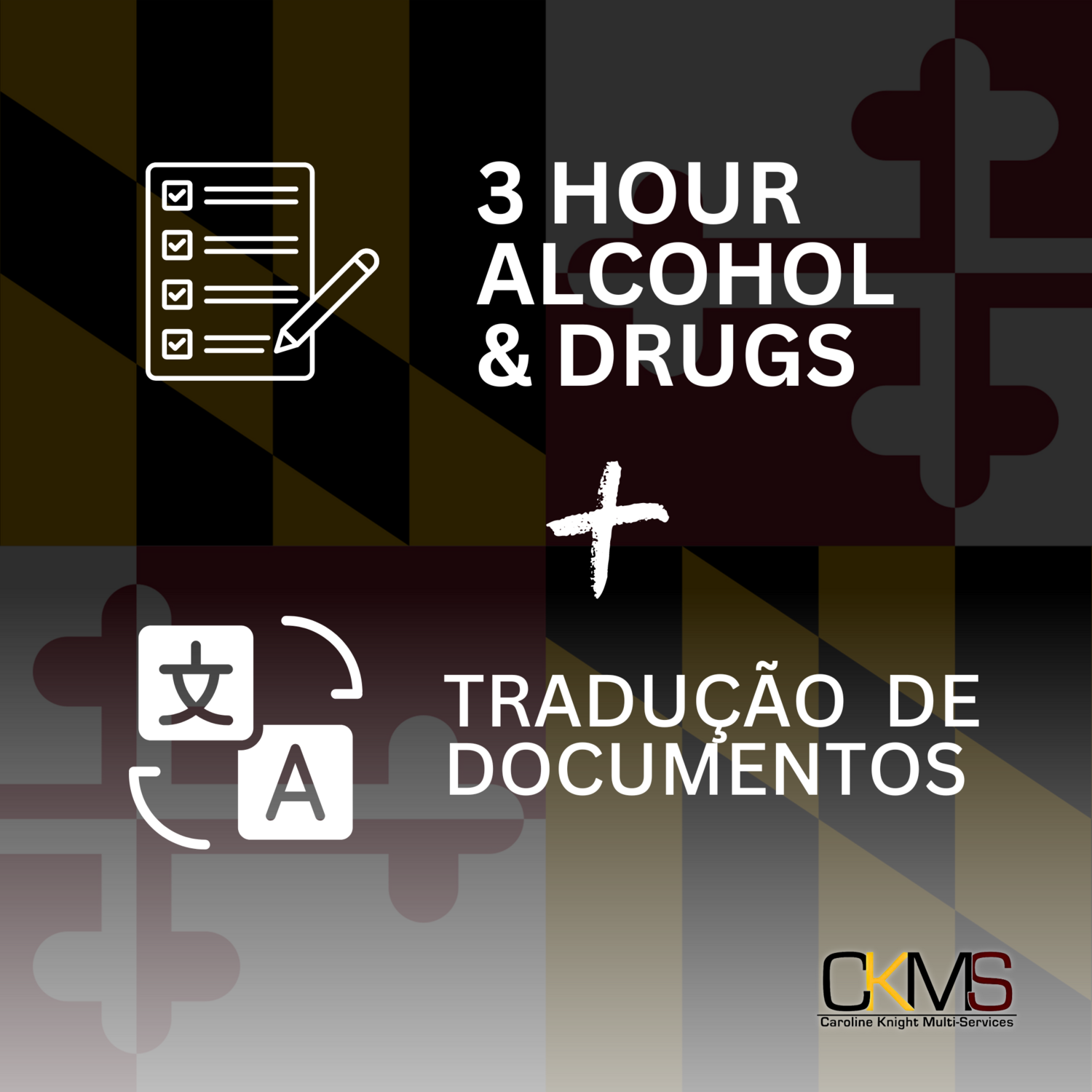 TRADUÇÃO CNH + CURSO DE ÁLCOOL E DROGAS