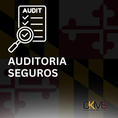 AUDITORIA SEGUROS