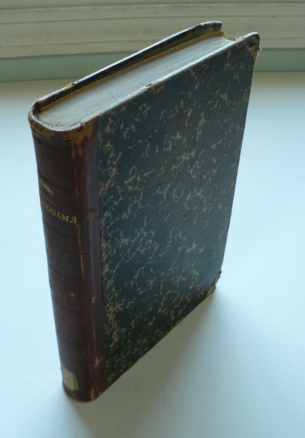 RARE AND IMPORTANT ECUADOR CRYPTOGAMAE BOOK ON FERNS BY ALOISIO SODIRO