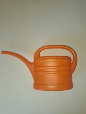 Watering Can Kids