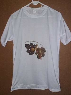 Bible verse T-shirt Small