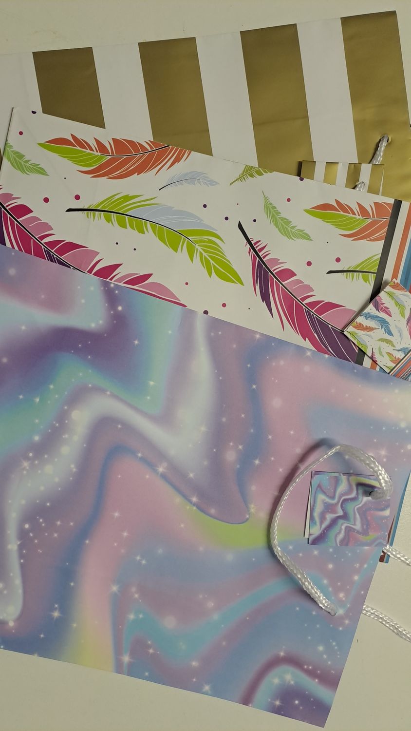 Gift Bag Everyday Large 25x32cm