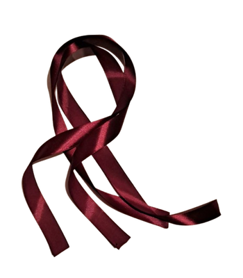 Hair Ribbons Short "Haar linte" 25mm x 800mm (2 lenghts)