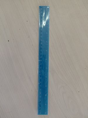 Plastic Ruler cm &amp; inch