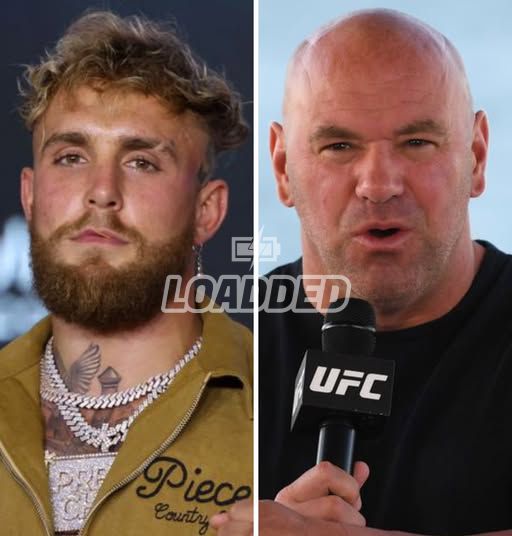 Dana White’s Viral Reaction to Jake Paul Talking With Donald Trump Sparks Internet Buzz