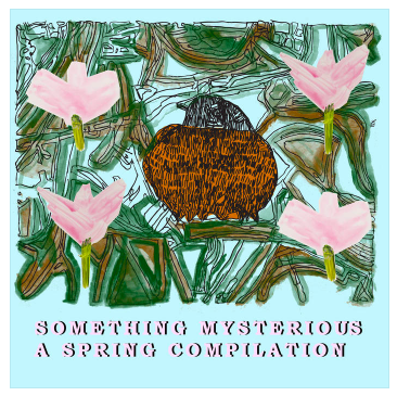Something Mysterious: A Spring Compilation
by Pop Pop Pop Records