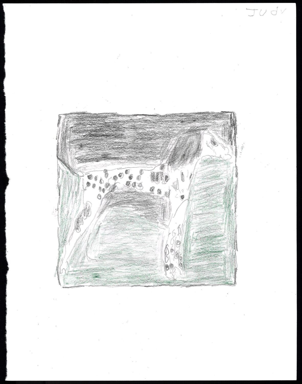 Spotted Dog 1 by Judy Barnett