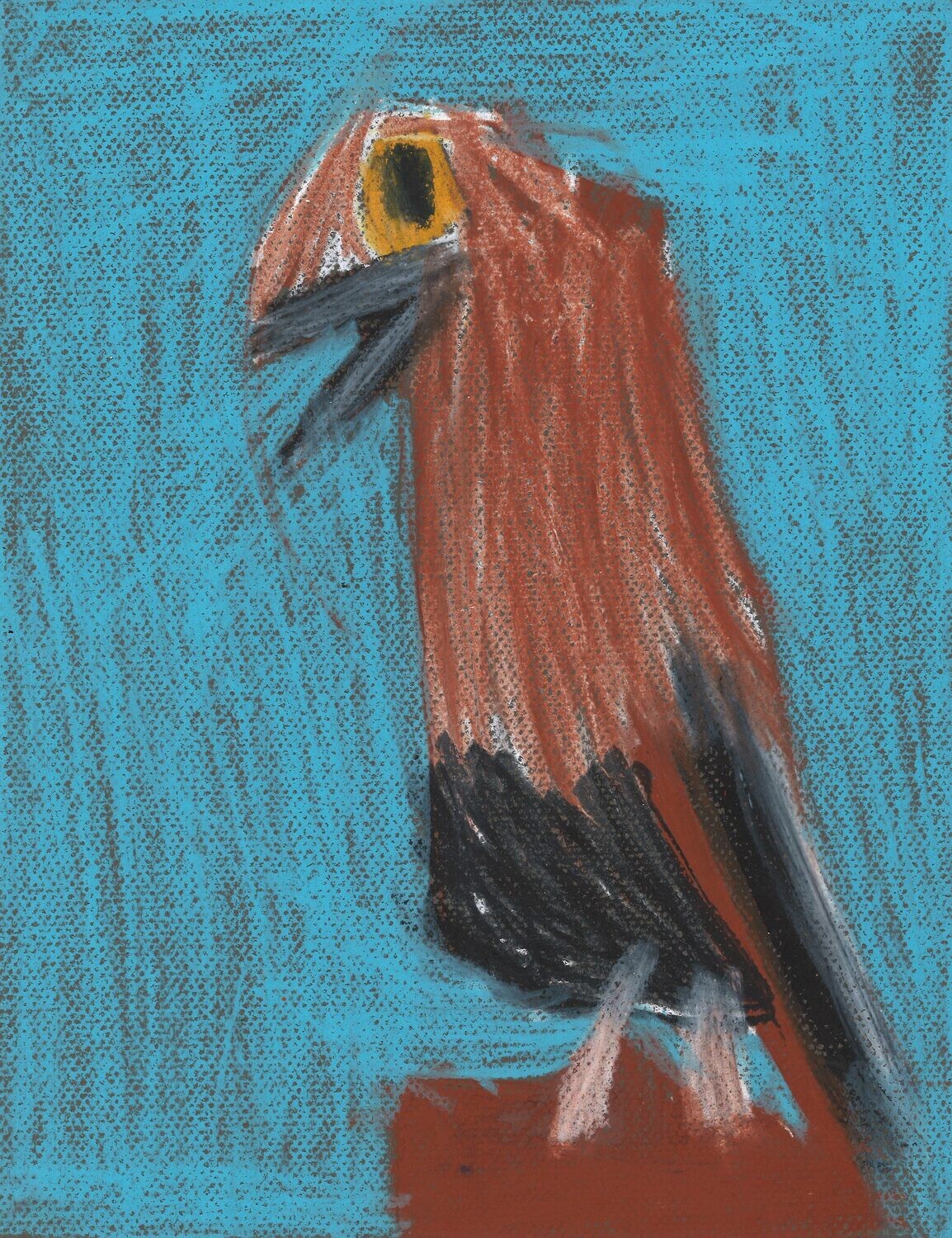 Bird by Clyde Henry