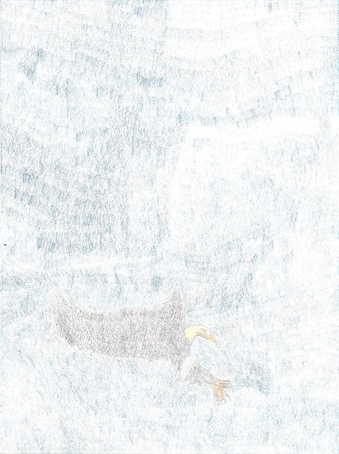 Eagles by Jacob Corsi