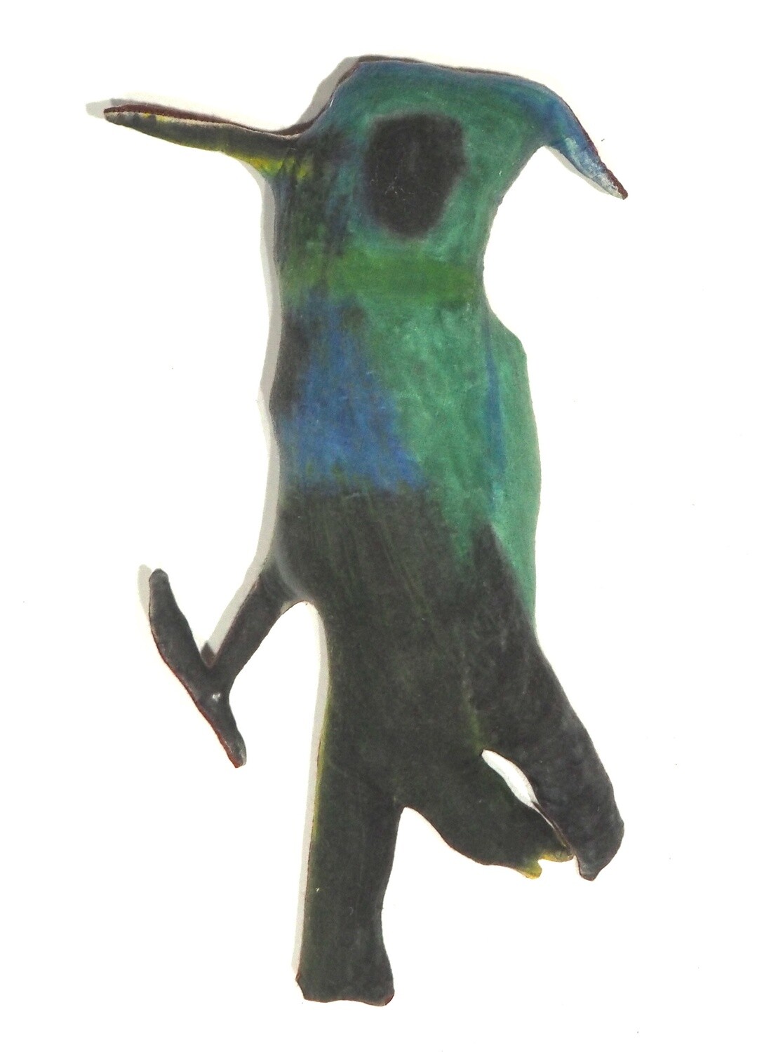 Steller's Jay by Clyde Henry