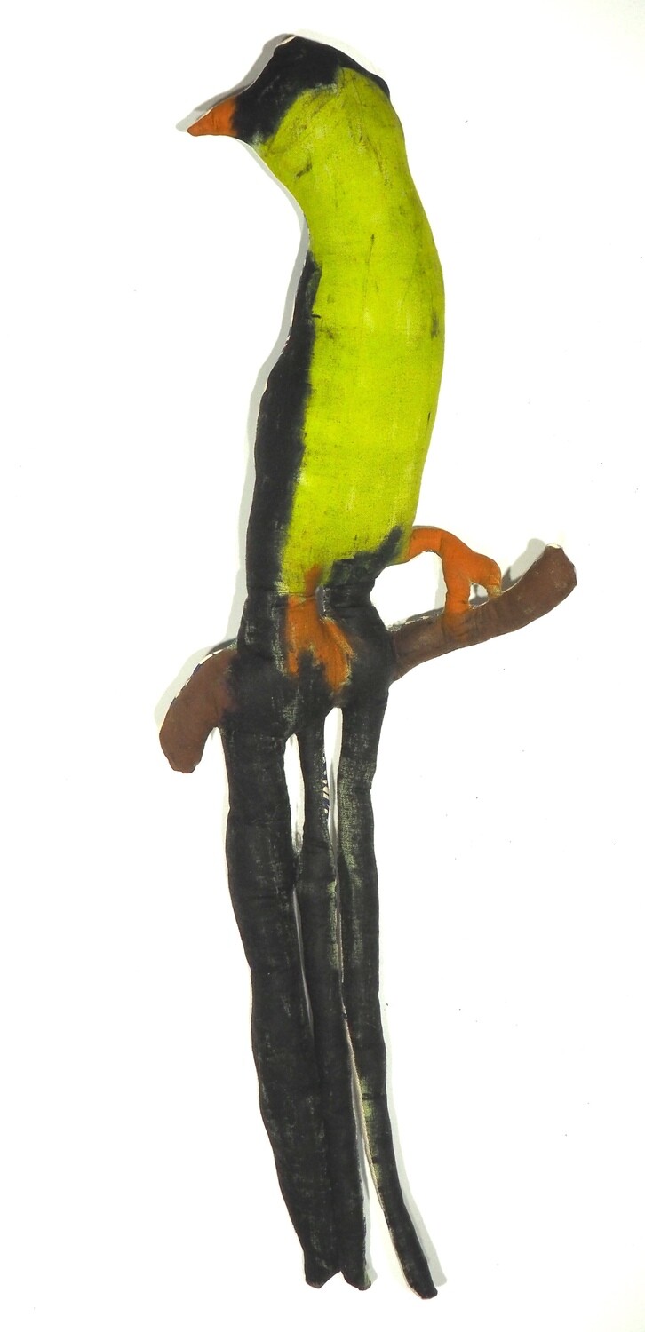 Resplendent Quetzal by Clyde Henry