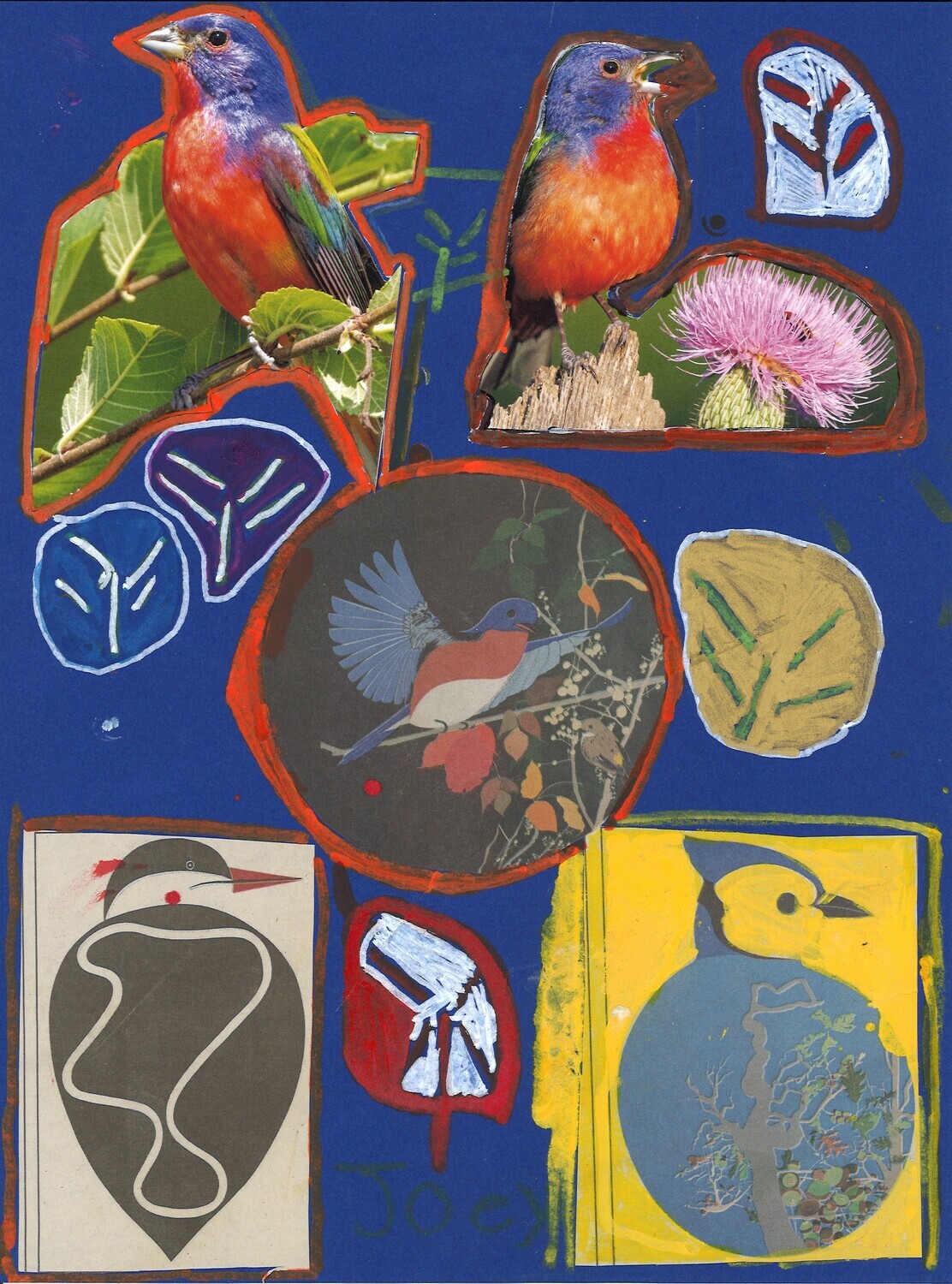 Bird collage by Joey Piergiovanni