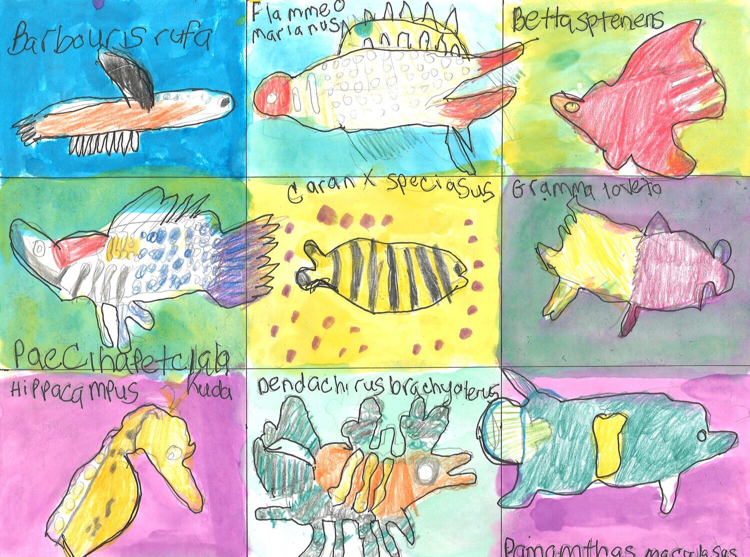 Sea animals by Jennifer Walton