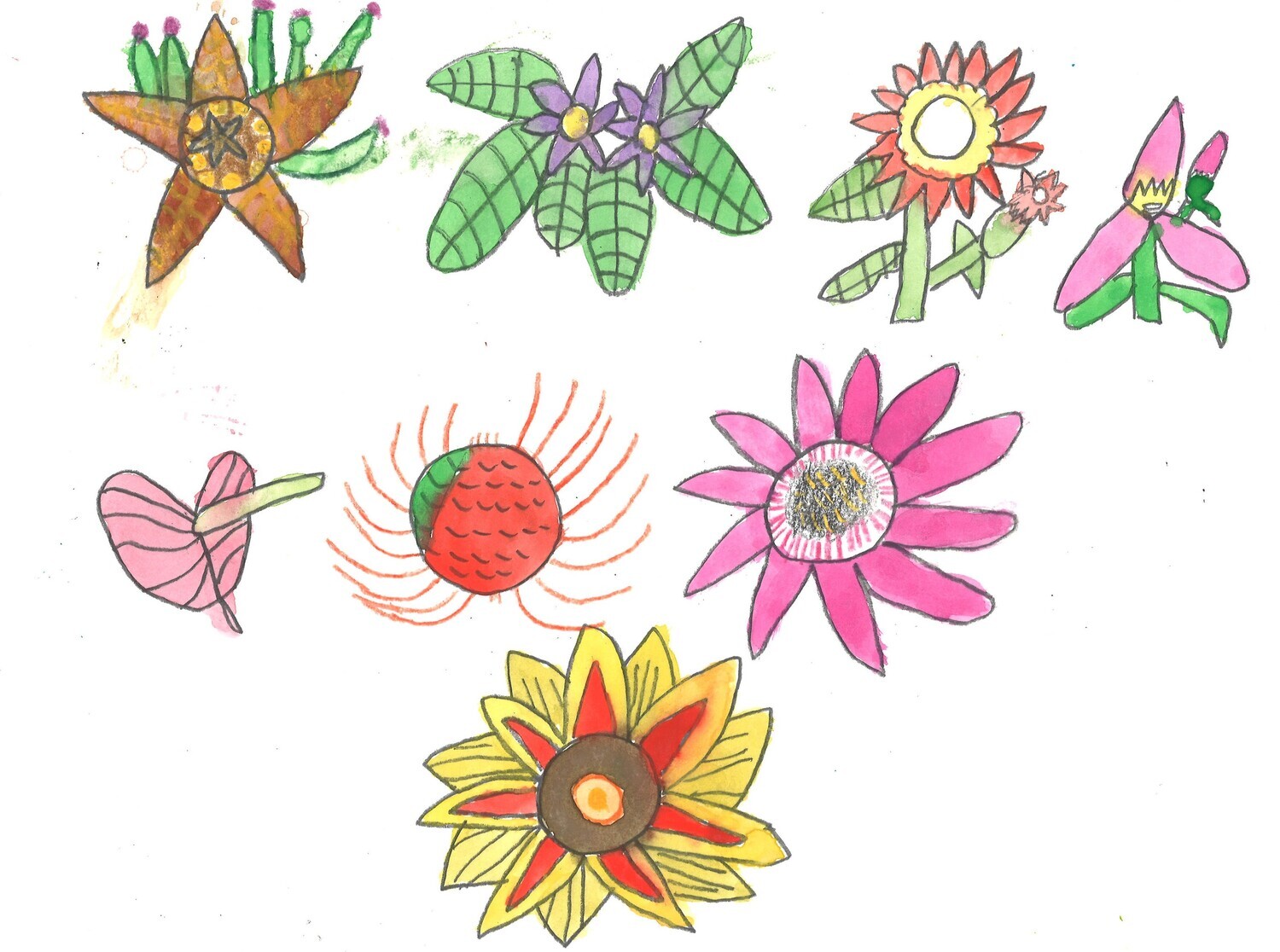 Flowers by Tina C.