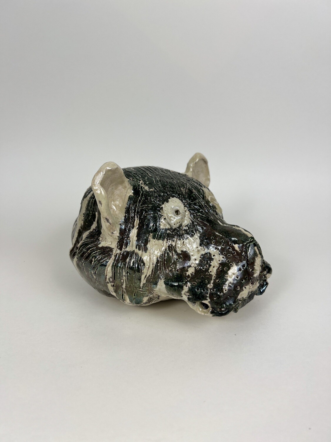 Shere Kahn by Carl Trunk