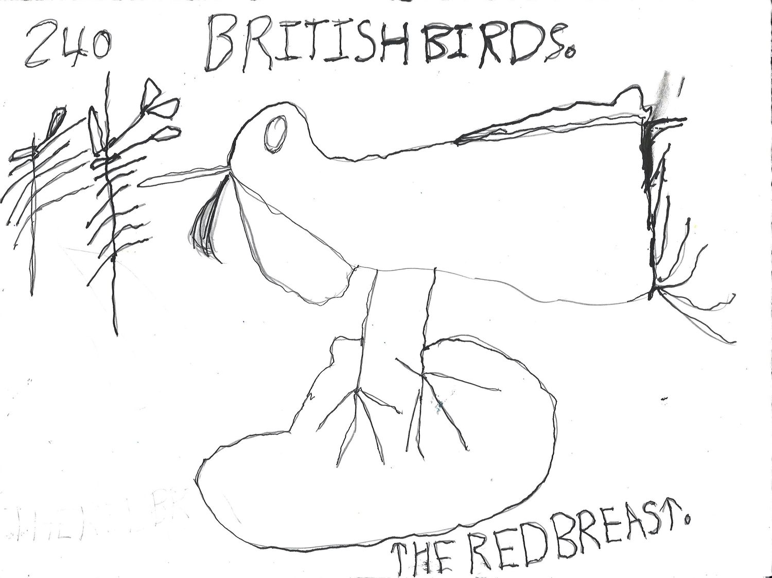 British Birds The Red Breast by Joyce Moseley