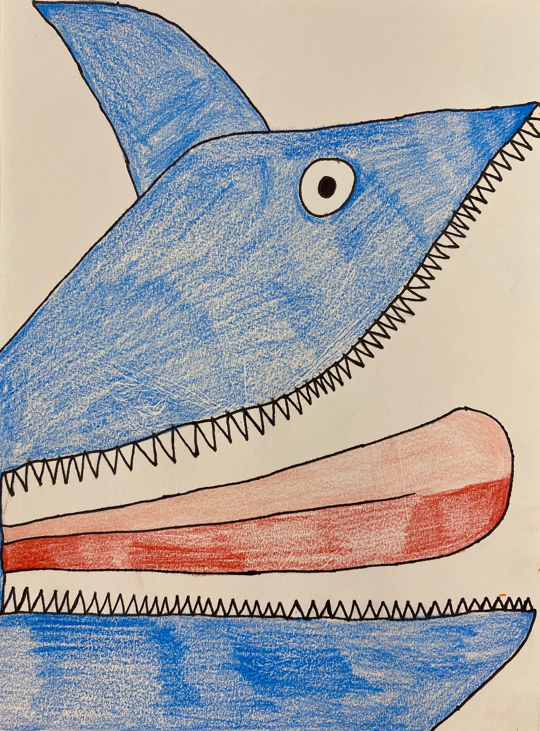 Blue Shark by Samir Saunders