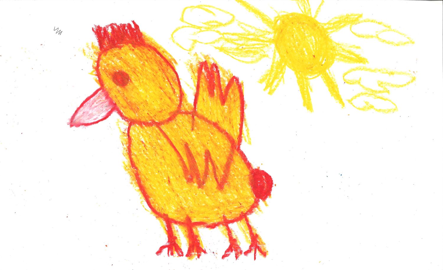 Chicken by Lauren Rowland