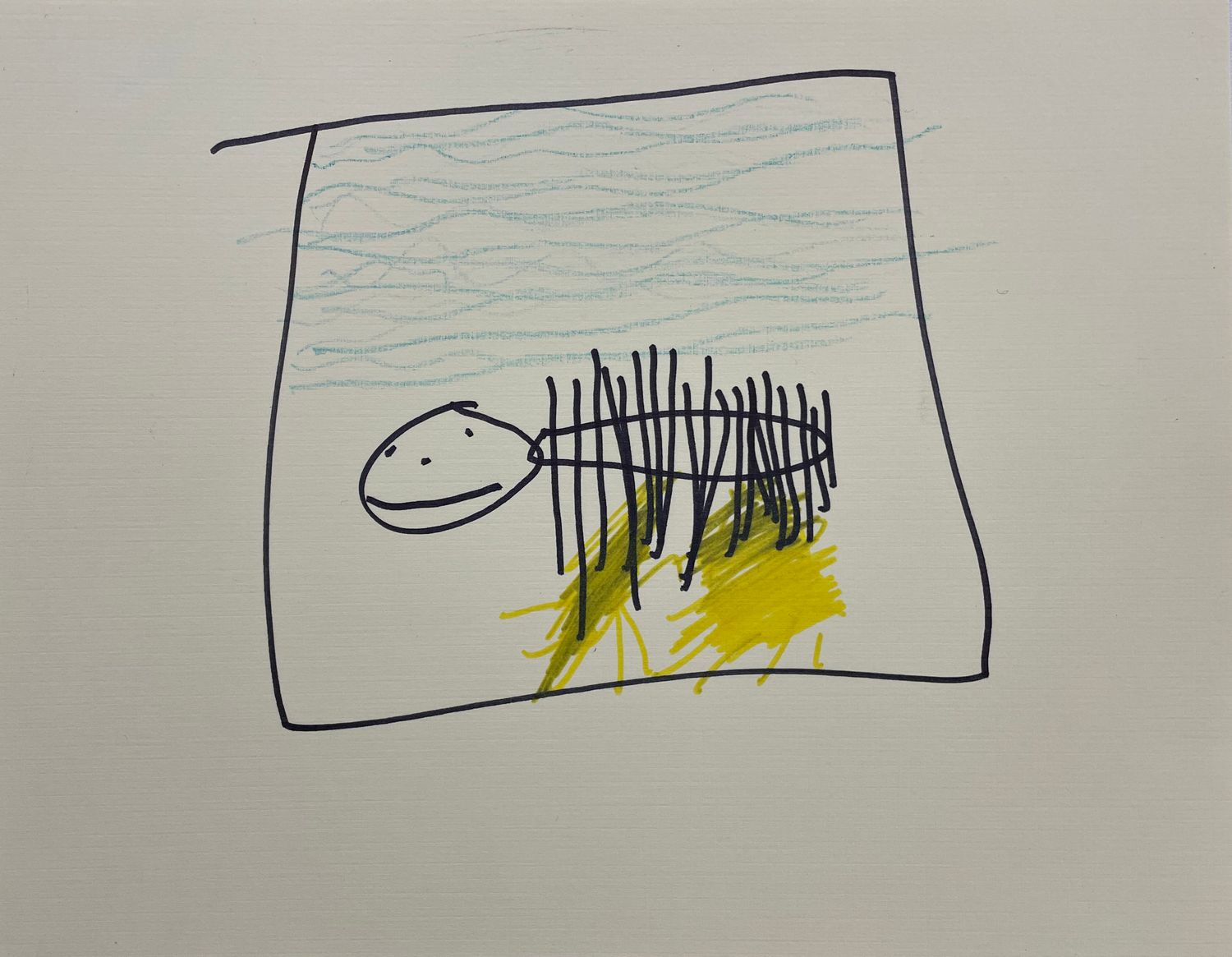 Turtle by Mick Hanes