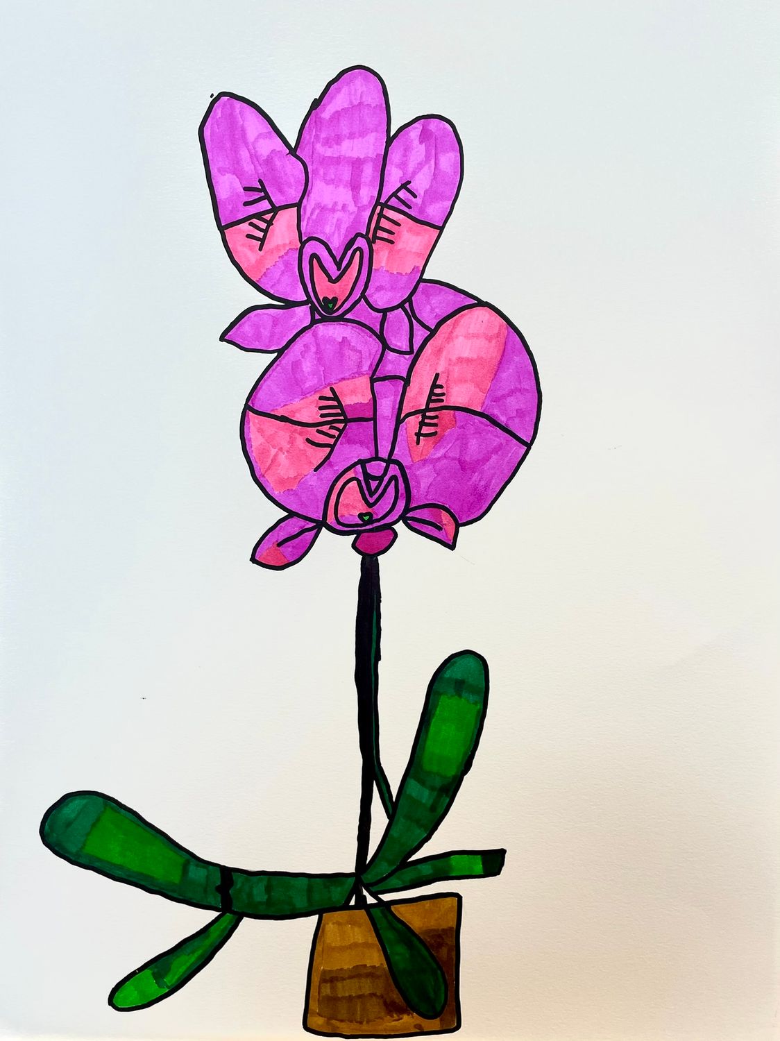 Orchid by Samir Saunders