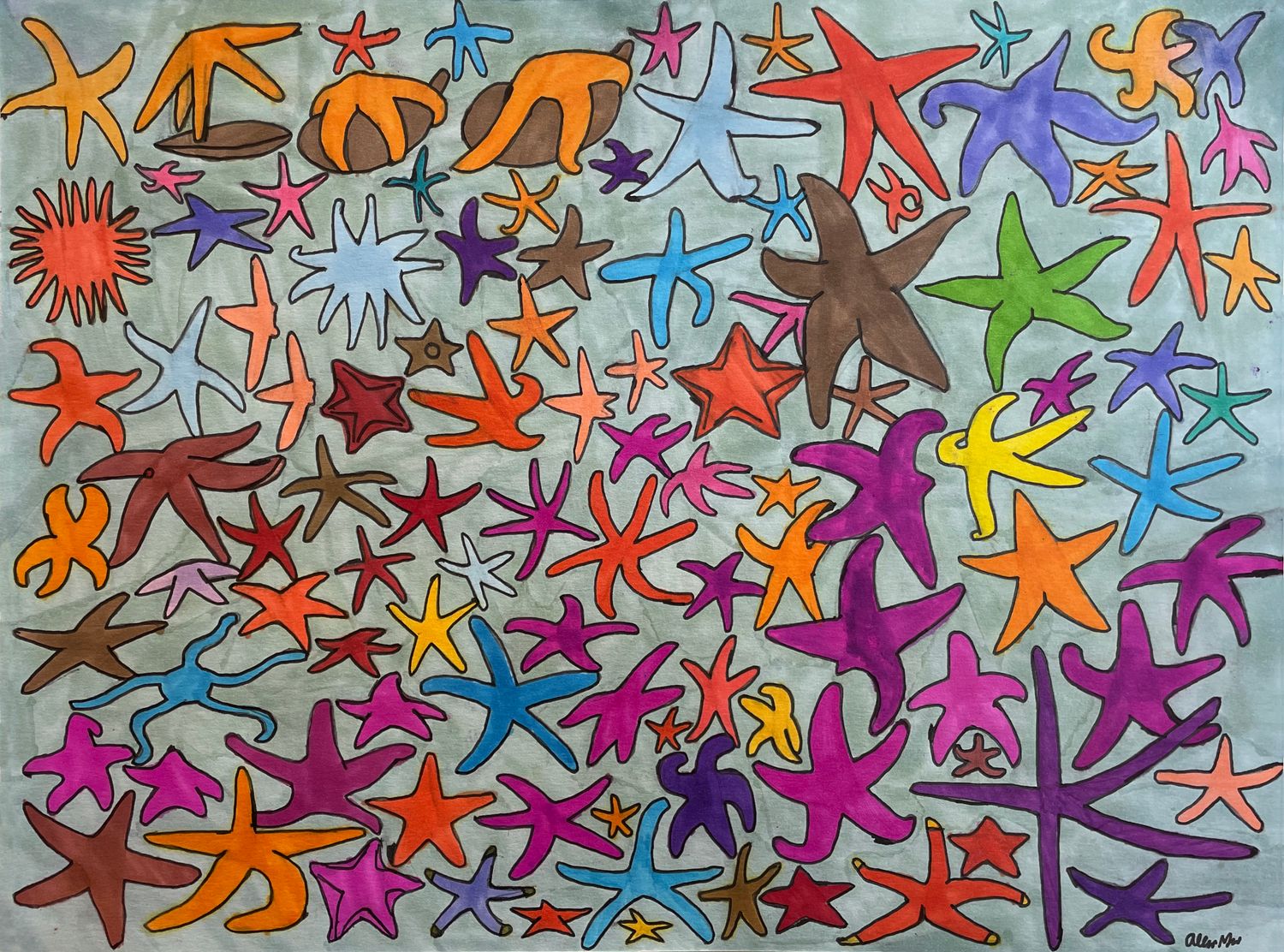 Starfish by Allen Yu