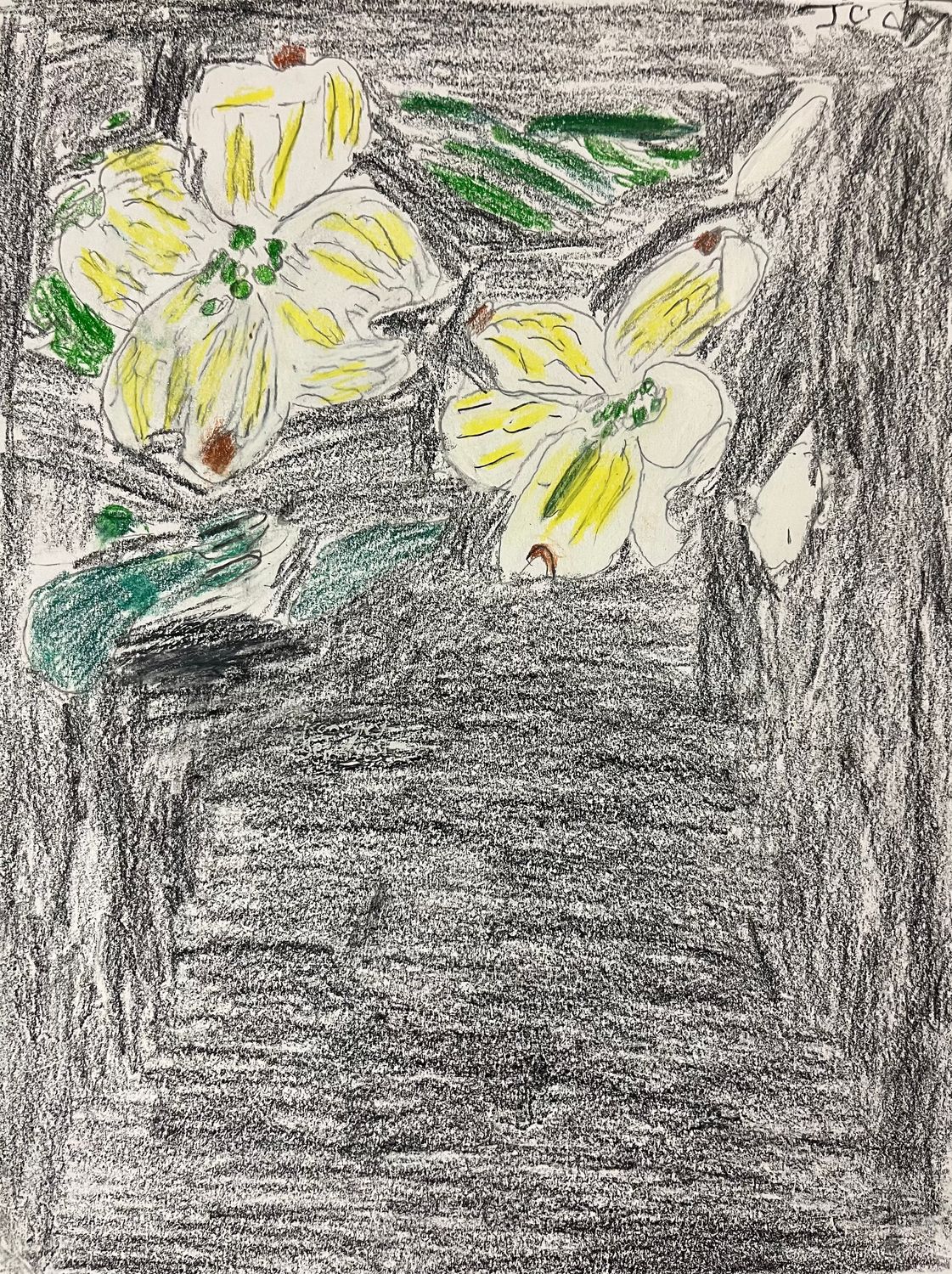 Daisy by Judy Barnett