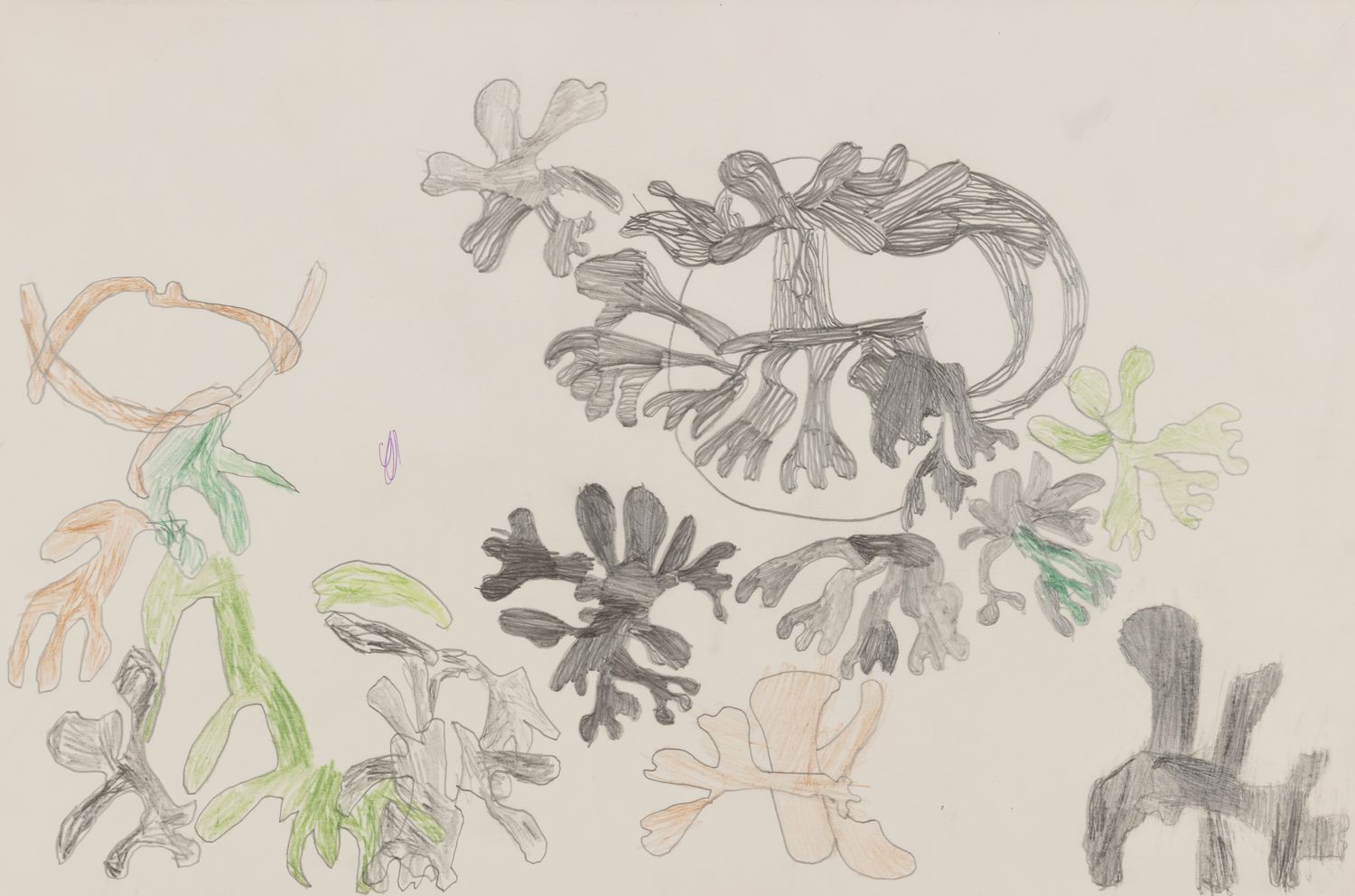 Drawing of a Tree by Olin Johnson