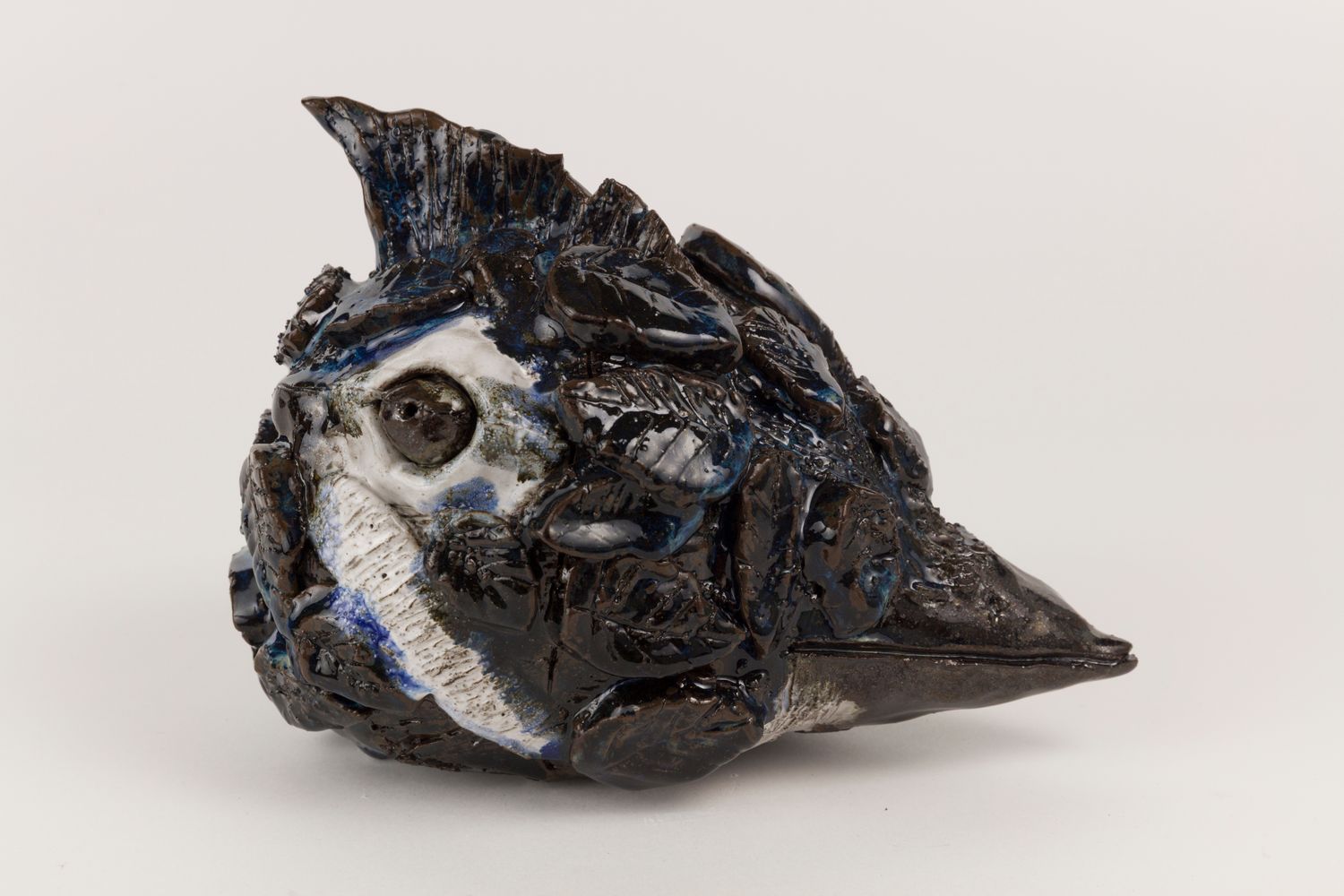 Blue Jay by Clyde Henry