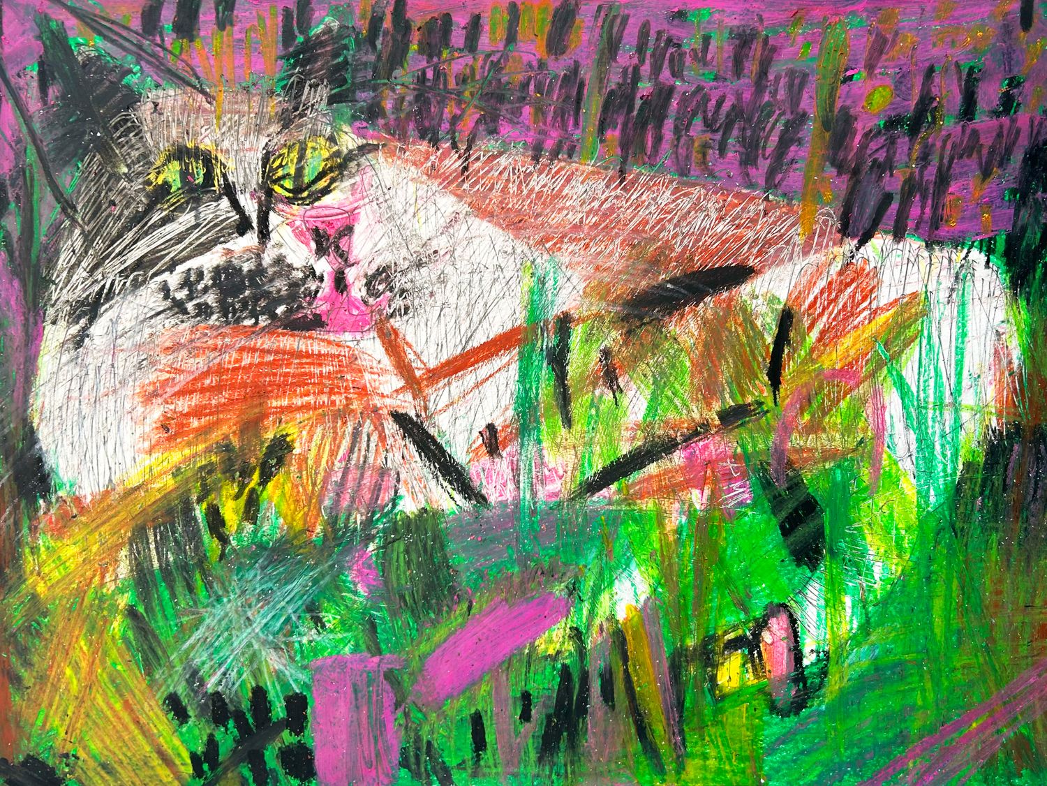 White Cat by Clyde Henry